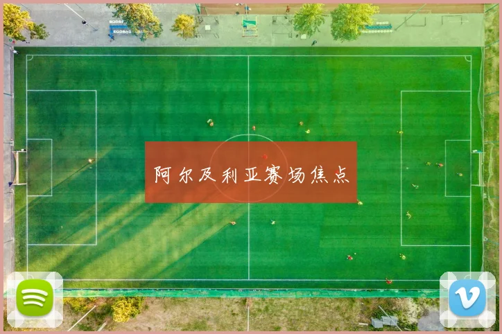 阿尔及利亚赛场焦点