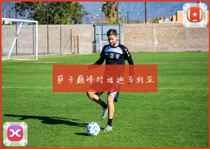萨卡巅峰对话迪马利亚