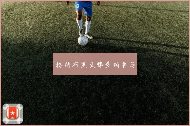格纳布里交锋多纳鲁马