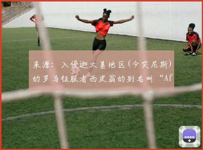 来源：入侵迦太基地区(今突尼斯)的罗马征服者西皮翁的别名叫“African”