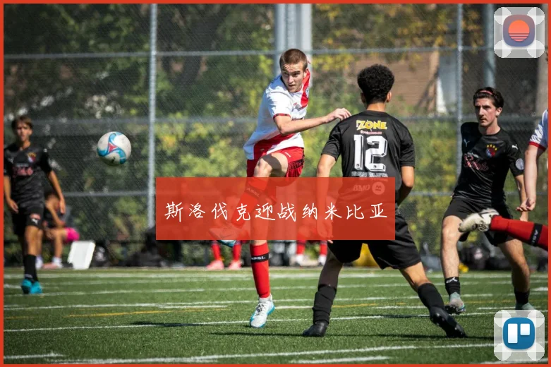 斯洛伐克迎战纳米比亚