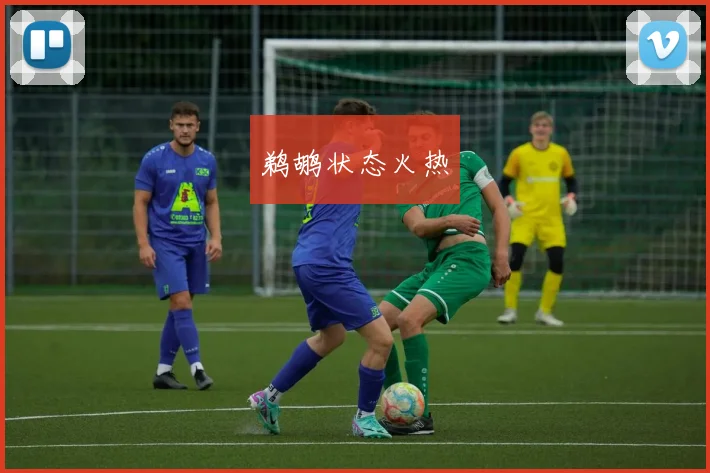 鹈鹕状态火热