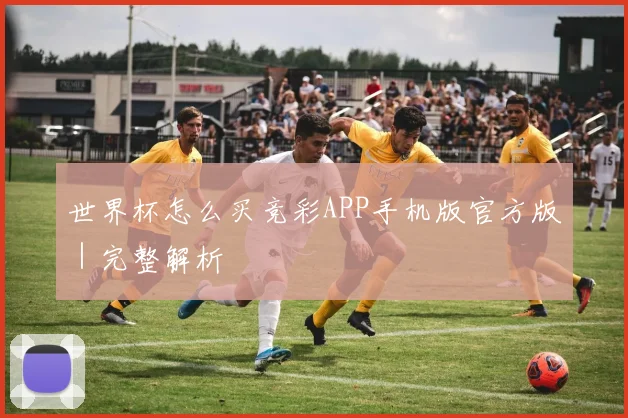 世界杯怎么买竞彩APP手机版官方版｜完整解析