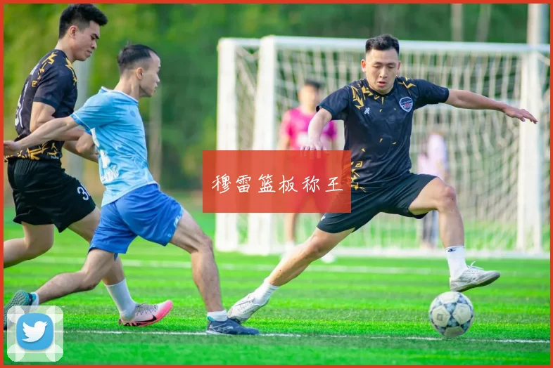 穆雷篮板称王