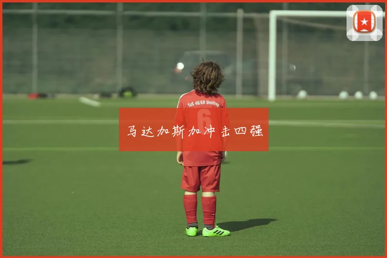 马达加斯加冲击四强
