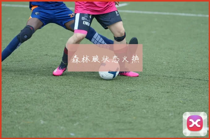 森林狼状态火热