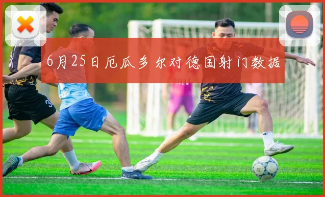 6月25日厄瓜多尔对德国射门数据