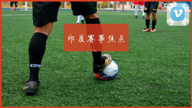 印度赛事焦点