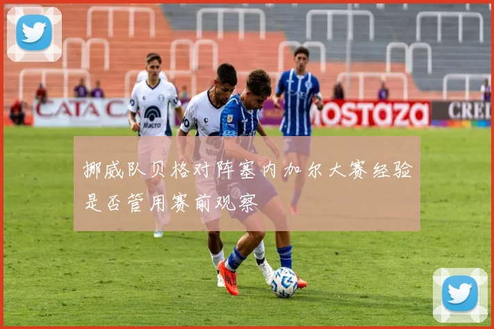 挪威队贝格对阵塞内加尔大赛经验是否管用赛前观察