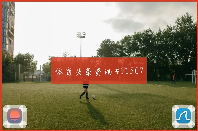 恰尔汗奥卢代表土耳其对阵澳大利亚战术责任观察