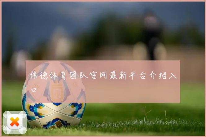 伟德体育团队官网最新平台介绍入口