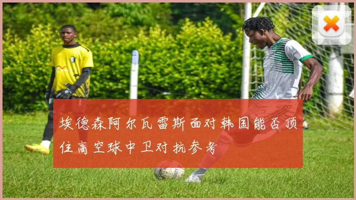 埃德森阿尔瓦雷斯面对韩国能否顶住高空球中卫对抗参考